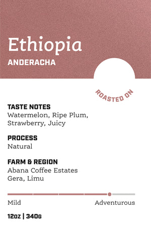 Ethiopia Anderacha - Natural